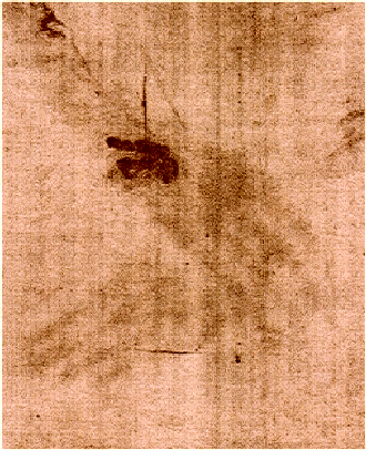 Jesus hands with blood stains in Holy Shroud